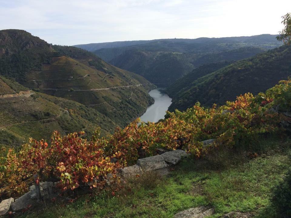 Acogedor Apartamento Ribeira Sacra Monforte De Lemos Extérieur photo